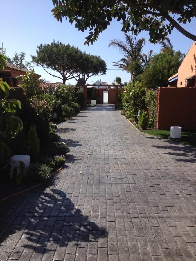 קדיז Estudio Con Jardincito Privado Barbacoa Y Piscina מראה חיצוני תמונה